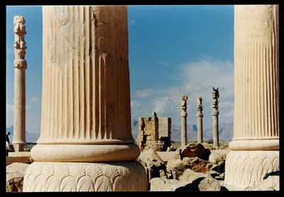 Columns from the eastern portico of the Apadana, c.500-480 BC by Achaemenid